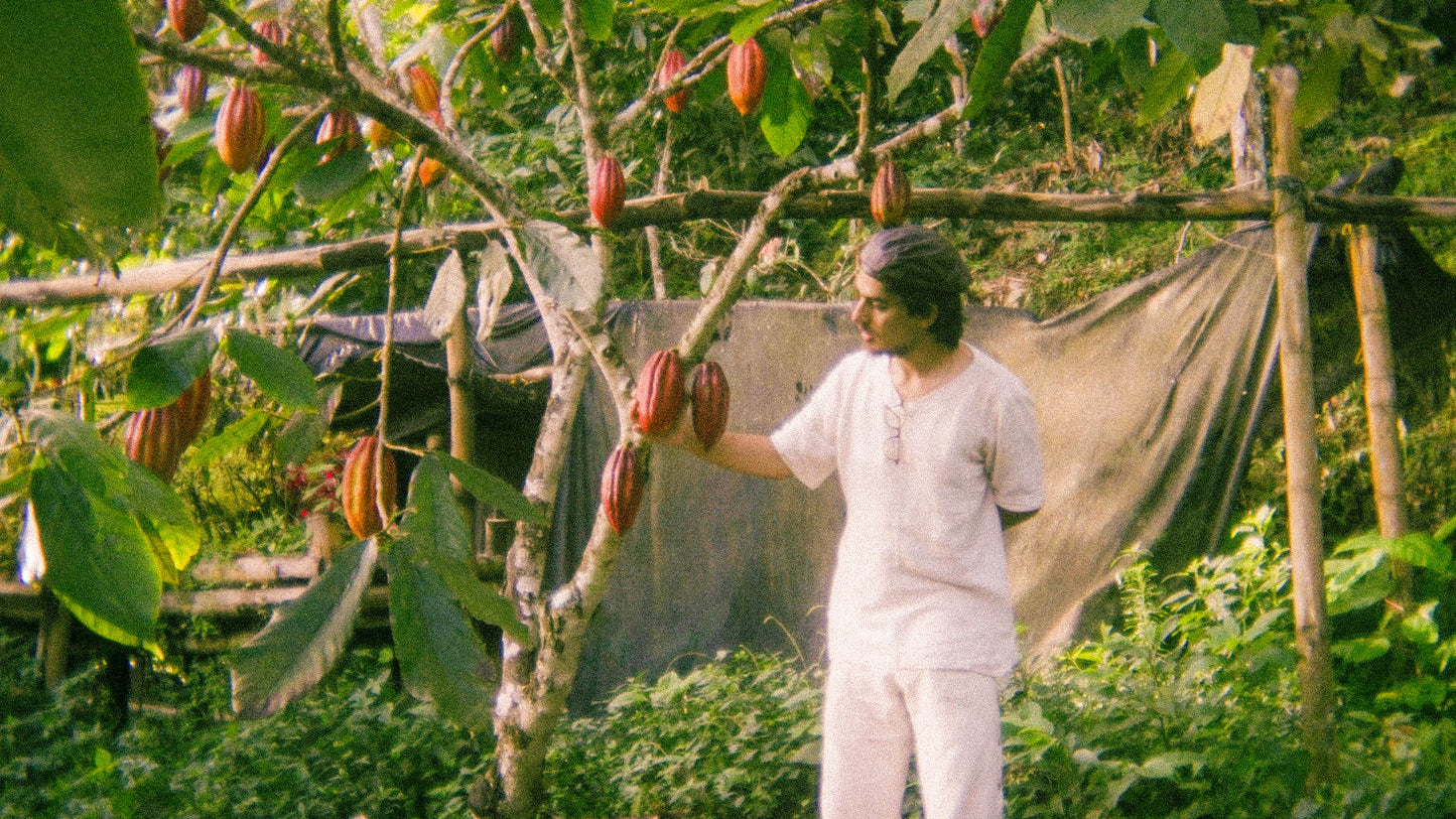 100% raw organic cermonial-grade cacao, 250 grams